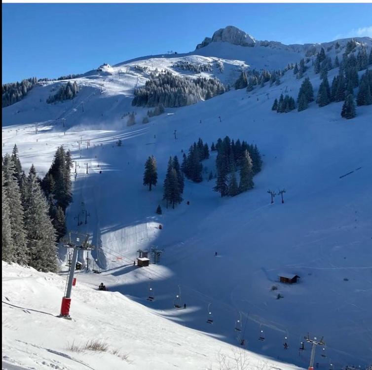Igloo Ski In Ski Out Thollon-les-Memises Esterno foto